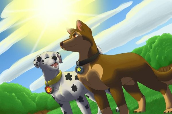 Маршал и Эверест и гонщик и Скай любовь