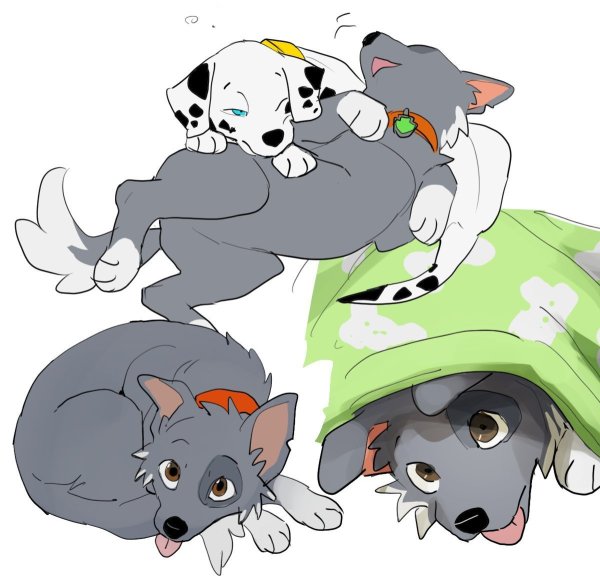 Щенячий патруль Маршал и Рокки