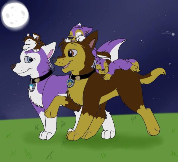 Маршал и Эверест и гонщик и Скай любовь