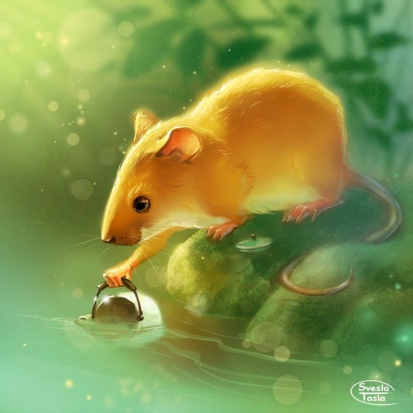 Милые крыски арт