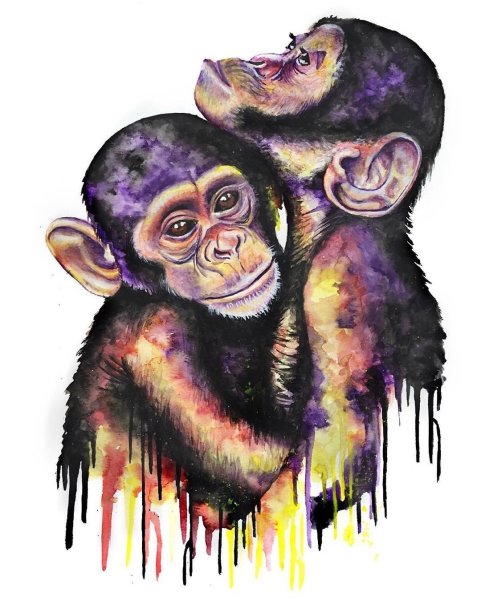 Chimpanzee Art картины