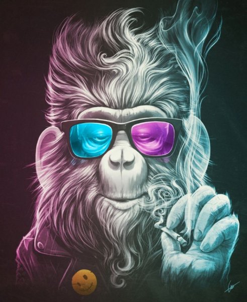 Крутая обезьяна арт