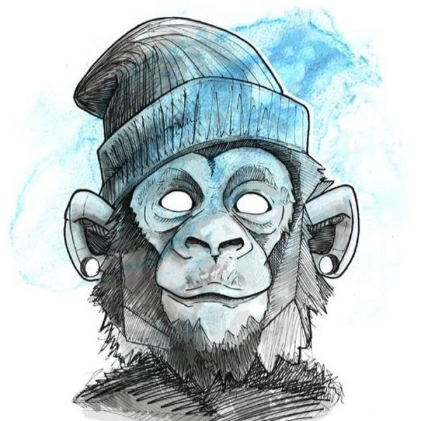 Обезьяна в шапке