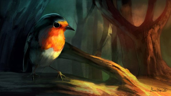 Фэнтези птицы