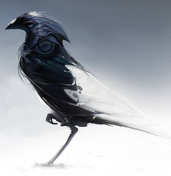 Белая ворона аниме