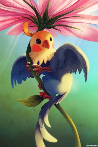 Аниме попугай корелла