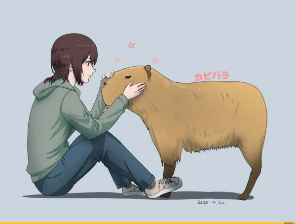 Капибара аниме арт