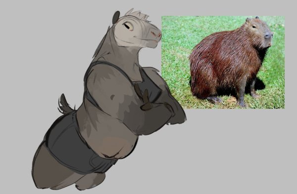 Капибара адопт