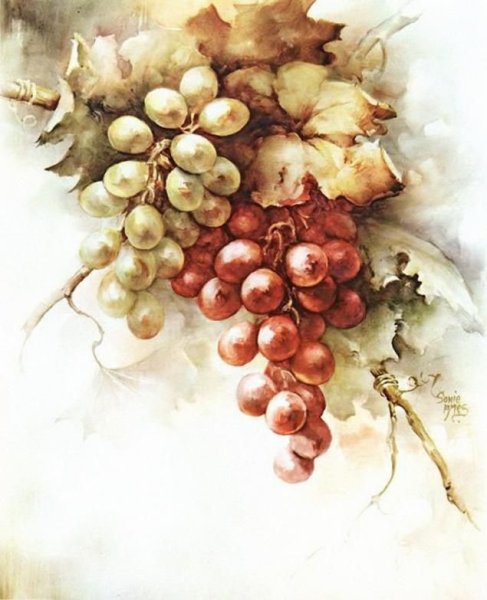 Соня Амес акварель виноград
