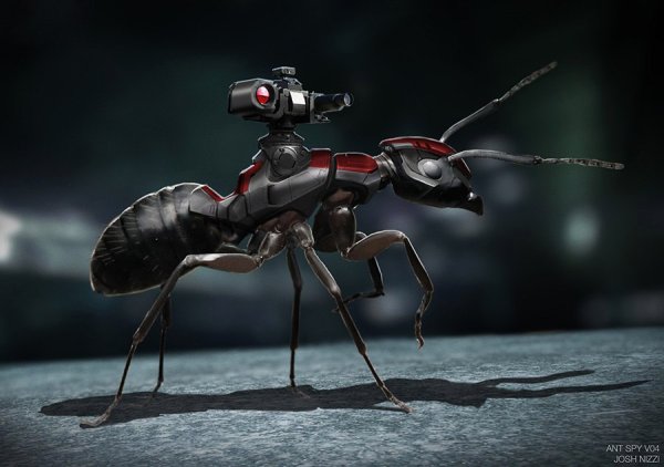 Крутой муравей