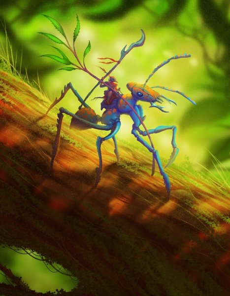 Муравей фэнтези