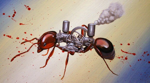 Бешеный муравей