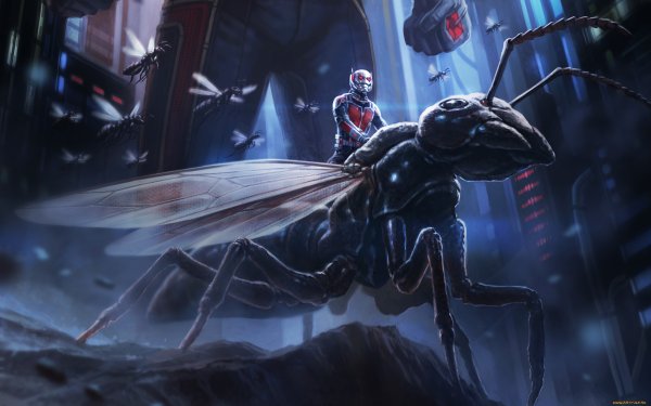 Человек муравей 1979