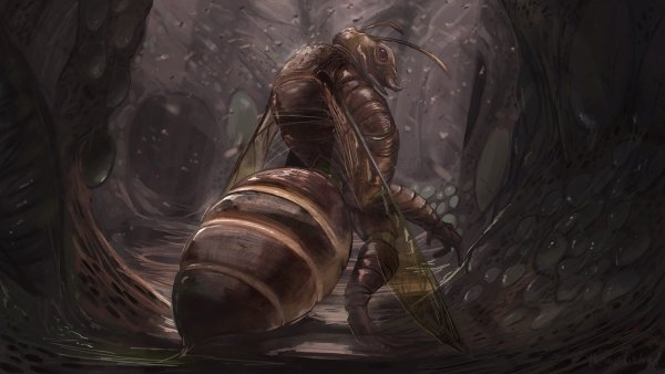 Инсектоиды богомолы Королева