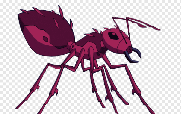 Атомный муравей