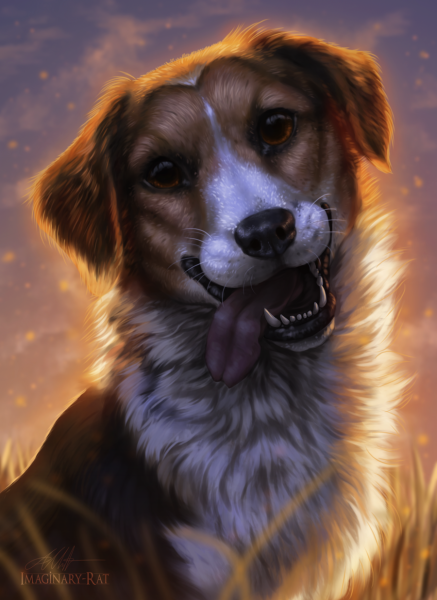 Красивые арты собак