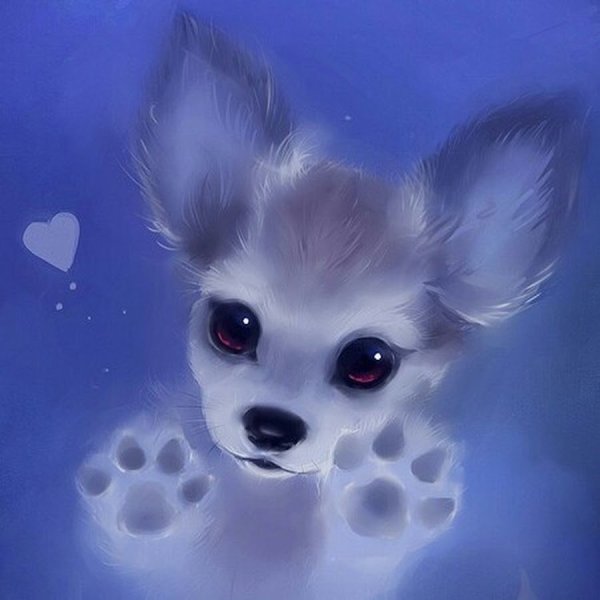 Фото аниме чебелые белы лехке