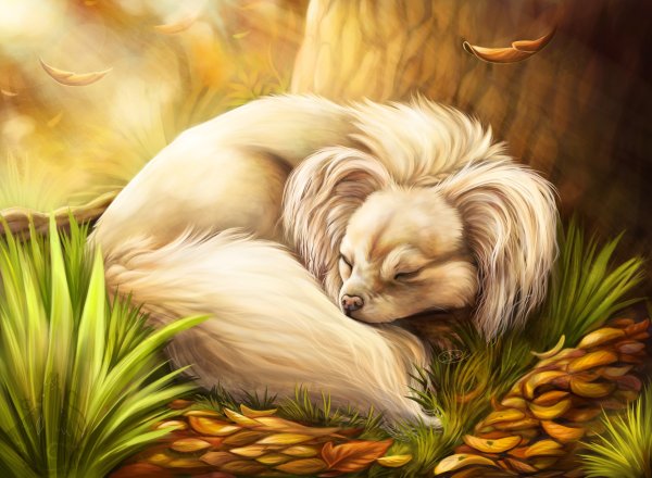 Красивые арты собак