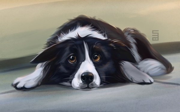 Картина бордер колли