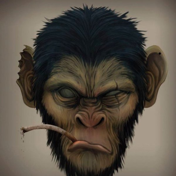 Крутая обезьяна