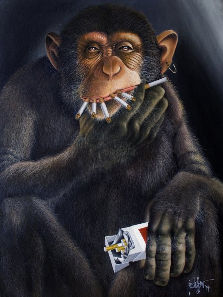 Мастер обезьяна