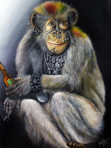Арди обезьяна