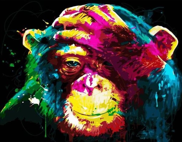 Patrice Murciano картины animal