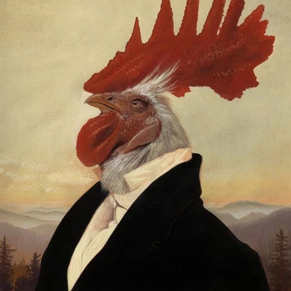 Смешной петух