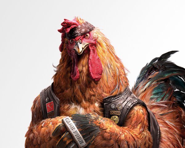 Петух арт