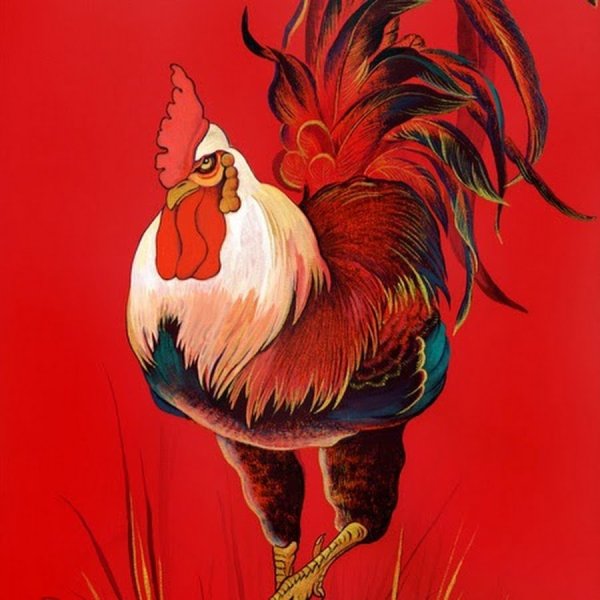 Курица фэнтези