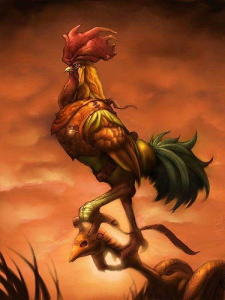 Концепт петуха