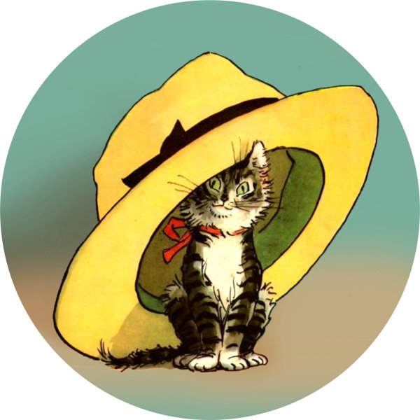 Рассказ н.н.Носова Живая шляпа