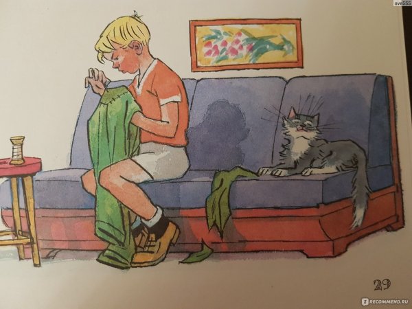 Николай Носов заплатка книга