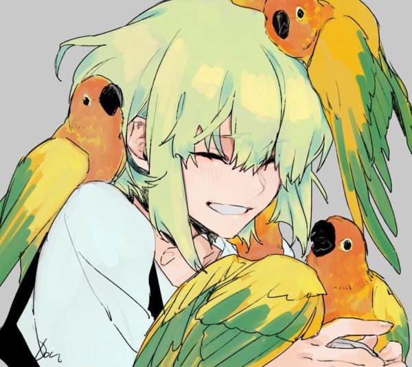 Аниме с попугаем