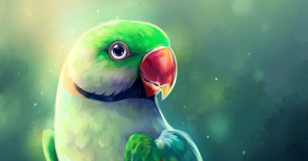 Попугай арты