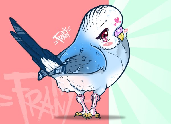 Аниме попугай