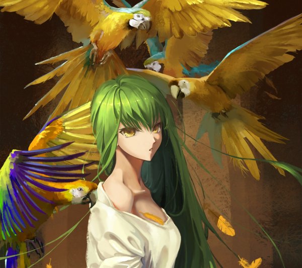 Аниме с попугаем