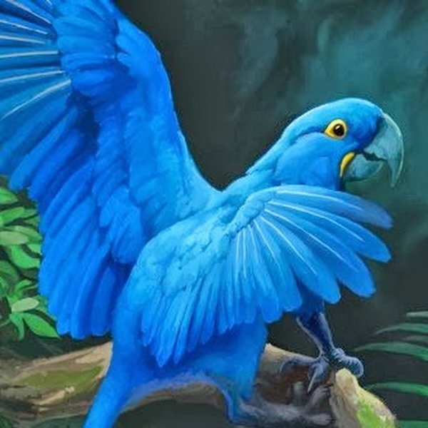 Химера попугай ара