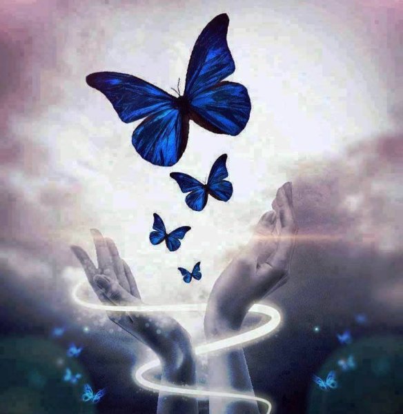 Магические бабочки