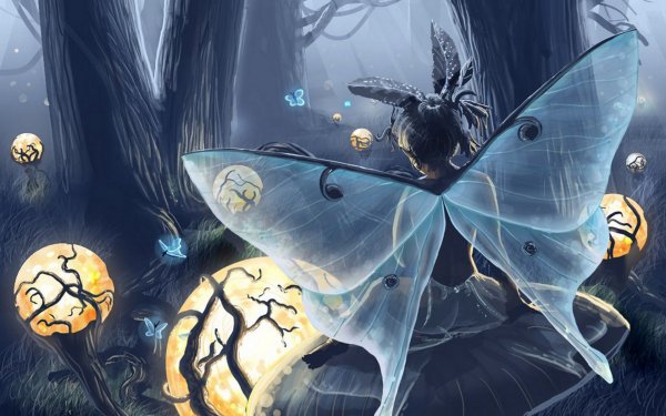 Фантазийные бабочки