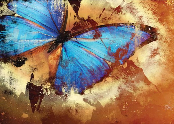 Бабочка арт