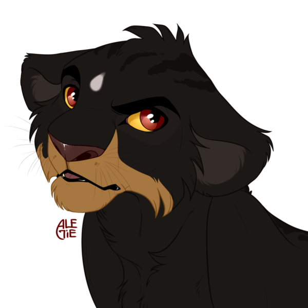 Король Лев черный Львенок