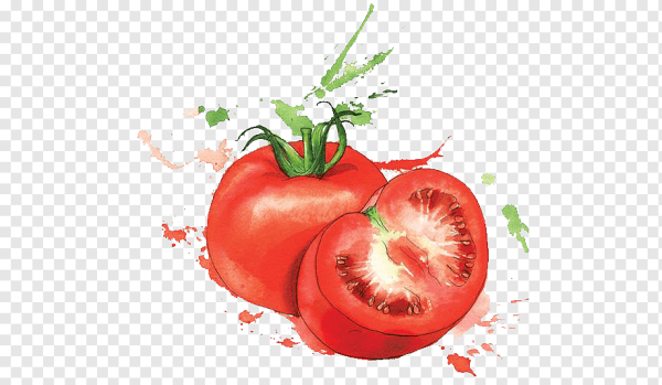 Овощи акварелью