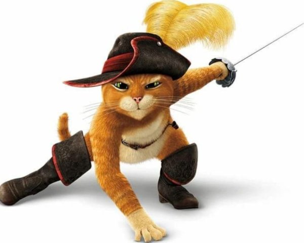 Мультик Шрек герои кот