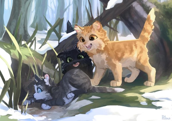 GRAYPILLOW коты Воители