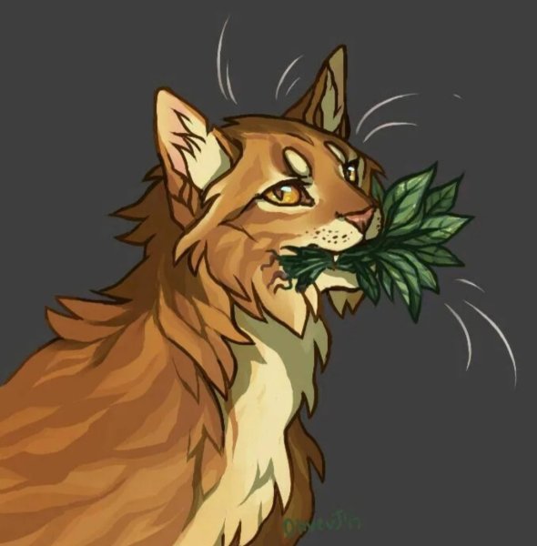 Коты Воители Мотылинка