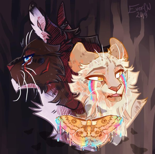 Коты Воители Коршун и Мотылинка и Саша