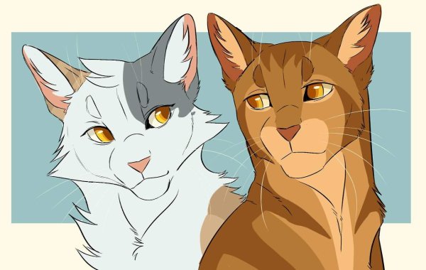 Коты Воители