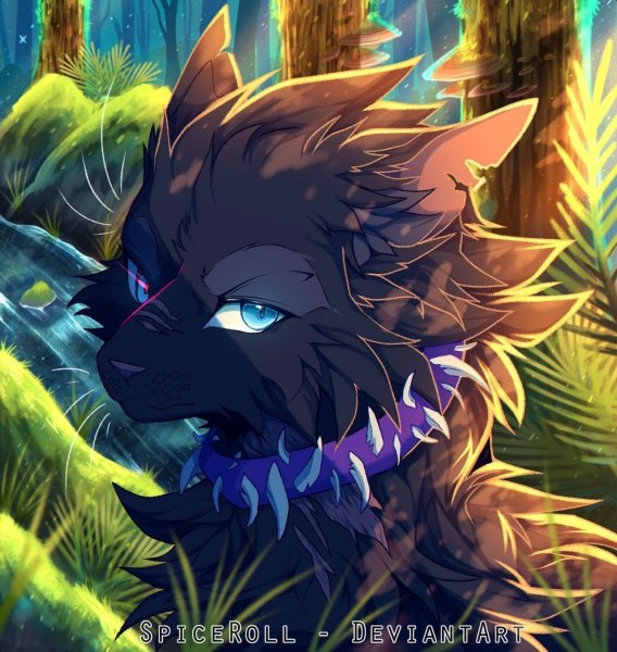 Коты Воители Бич