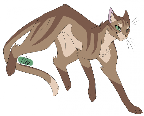 Коты Воители marymsjay